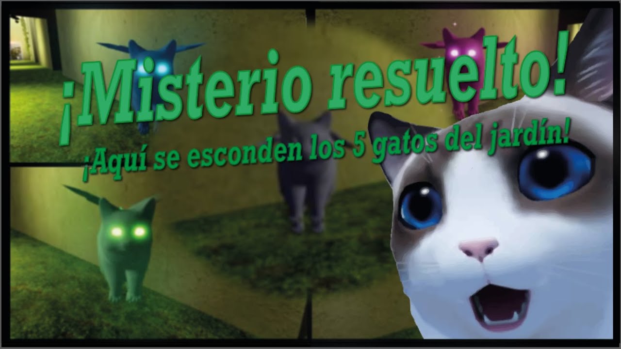 El Jardín del Silencio: 5 gatos que seguramente te saltaste