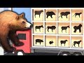 Aprende nombres con animales reales en la naturaleza, formas de animales en camión