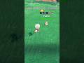 Shiny Pawmo! Pokemon Scarlet