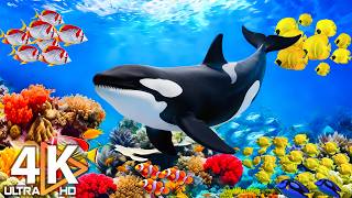 Download lagu Underwater Wonders 4K | Marvel at Beautiful Sea Life in a Stunning 4K Aquarium 🌊 Sleep Music #4
