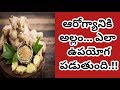 Health Benefits Of Ginger | Health Tips In Telugu | Manandari Health