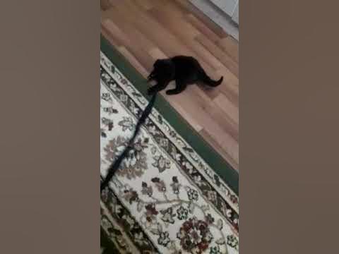 Вантаблэк, первая встреча. - YouTube