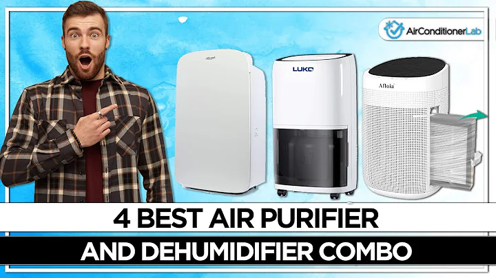 4 Best Air Purifier & Dehumidifier Combo