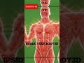 What Happens Inside Your Body When You Eat Strawberries #health #nutrition