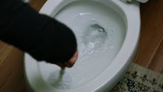 Lola Products Toilet Bowl Brush & Caddy