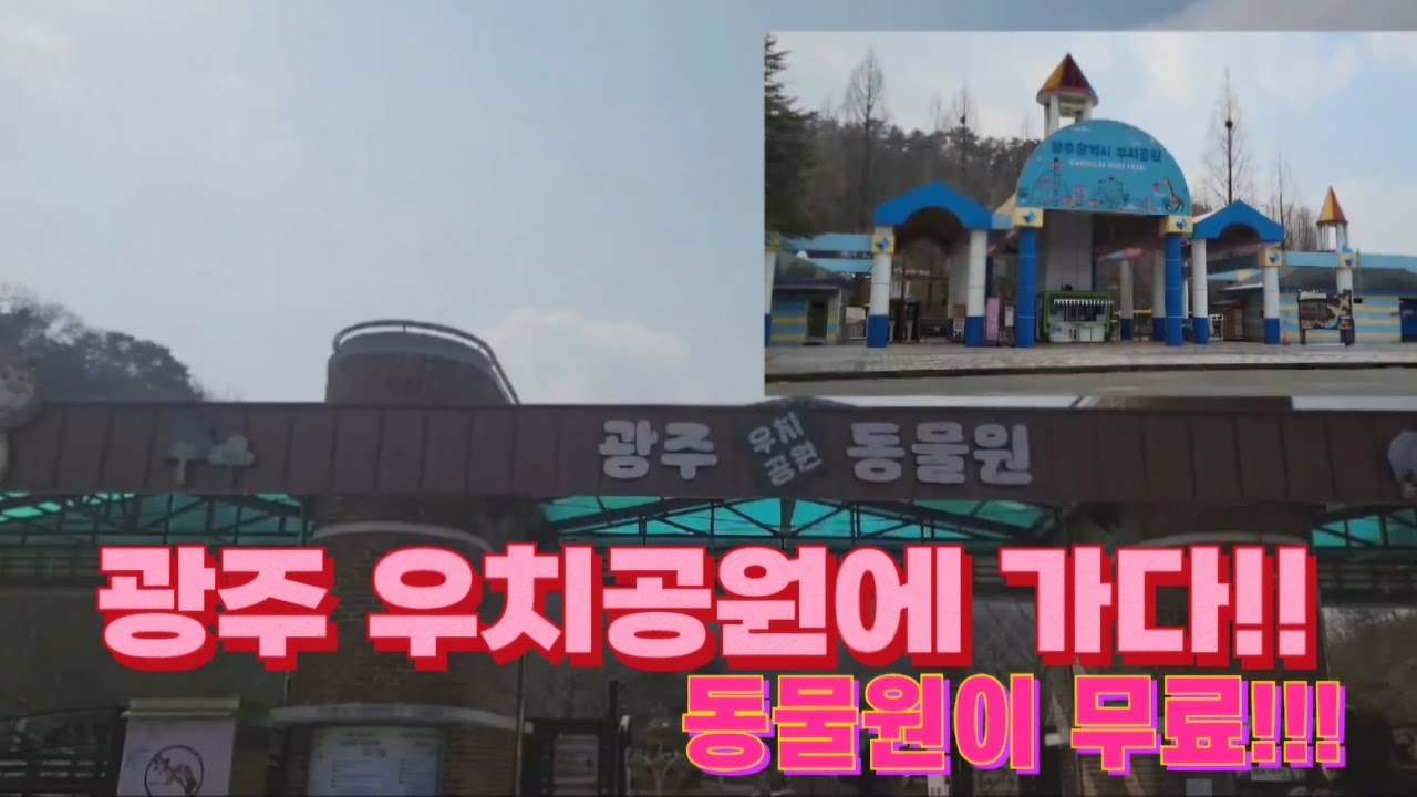 🍀ep.1)겨울에 갔던 광주 우치공원!! 동물원이 무료입니다❤️ 괜찮더라구요☺️ 오늘은 앵무새 구경~! #우치공원 #광주동물원 #동물원 #앵무새 #겨울동물원