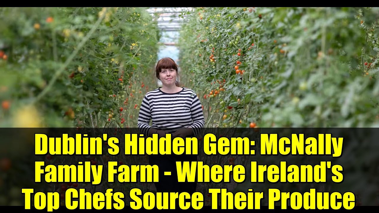 Dublin's Hidden Gem: McNally Family Farm - Where Ireland's Top Chefs Source Their Produce