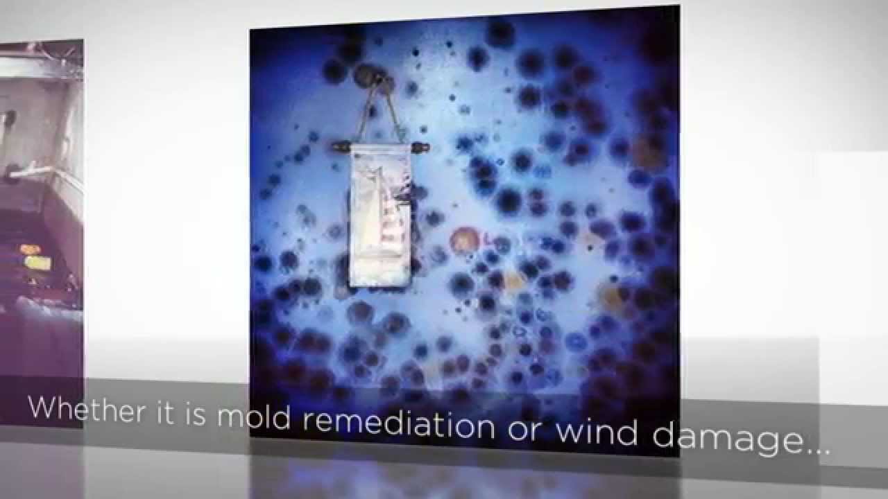 ECO Disaster Services