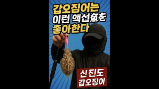 신진도 갑오징어 다이와 EX AGS 165xh 한국 실정에 맞는 갑오징어 끝판왕