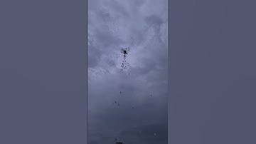 Flower Dropping Drone || handmade Drone #shorts #drone #dronephotography #dronevideo