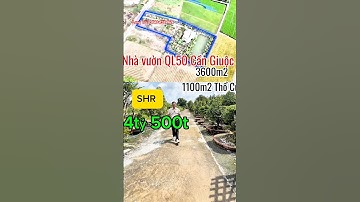 Nhà vườn QL50 Cần Giuộc-3600m2 SHR-Có 1100m2 đất thổ-vườn cây,ao cá -nên Q8 15p#villa #viral #home