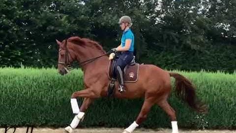 Bellamy - TempiChanges