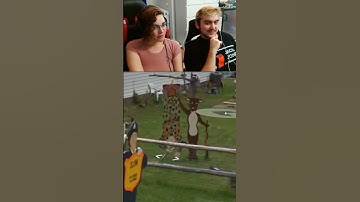 GeoGuessr Easter Egg🥚Funny Google Street View