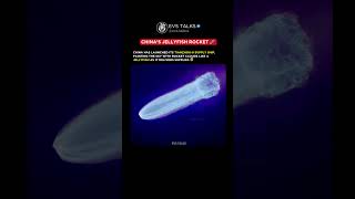 China Launches Tianzhou-9 Supply Ship Rocket Trail Looks Like A Jellyfish