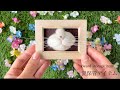 【羊毛フェルト】髭を可愛く保管できるアイテム作りました【wool felt】　Items that can store beards cutely