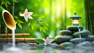 Relaxing Music 24 Hour, Sleep Music, Stress Relief Music, Spa, Meditation, Yoga, Zen, Sleeping Music