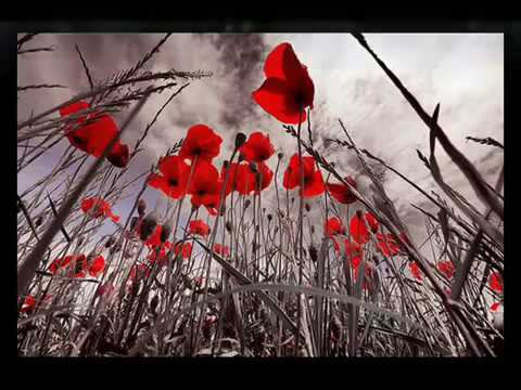 Enrique Iglesias - I Have Always Loved You