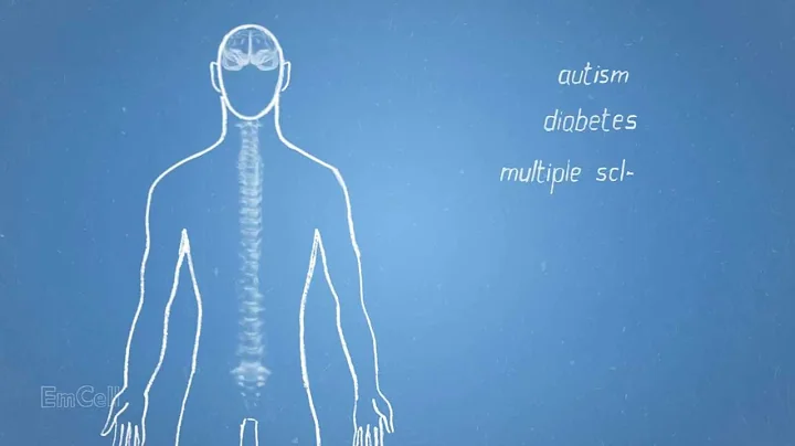 Stem Cell Treatment at EmCell