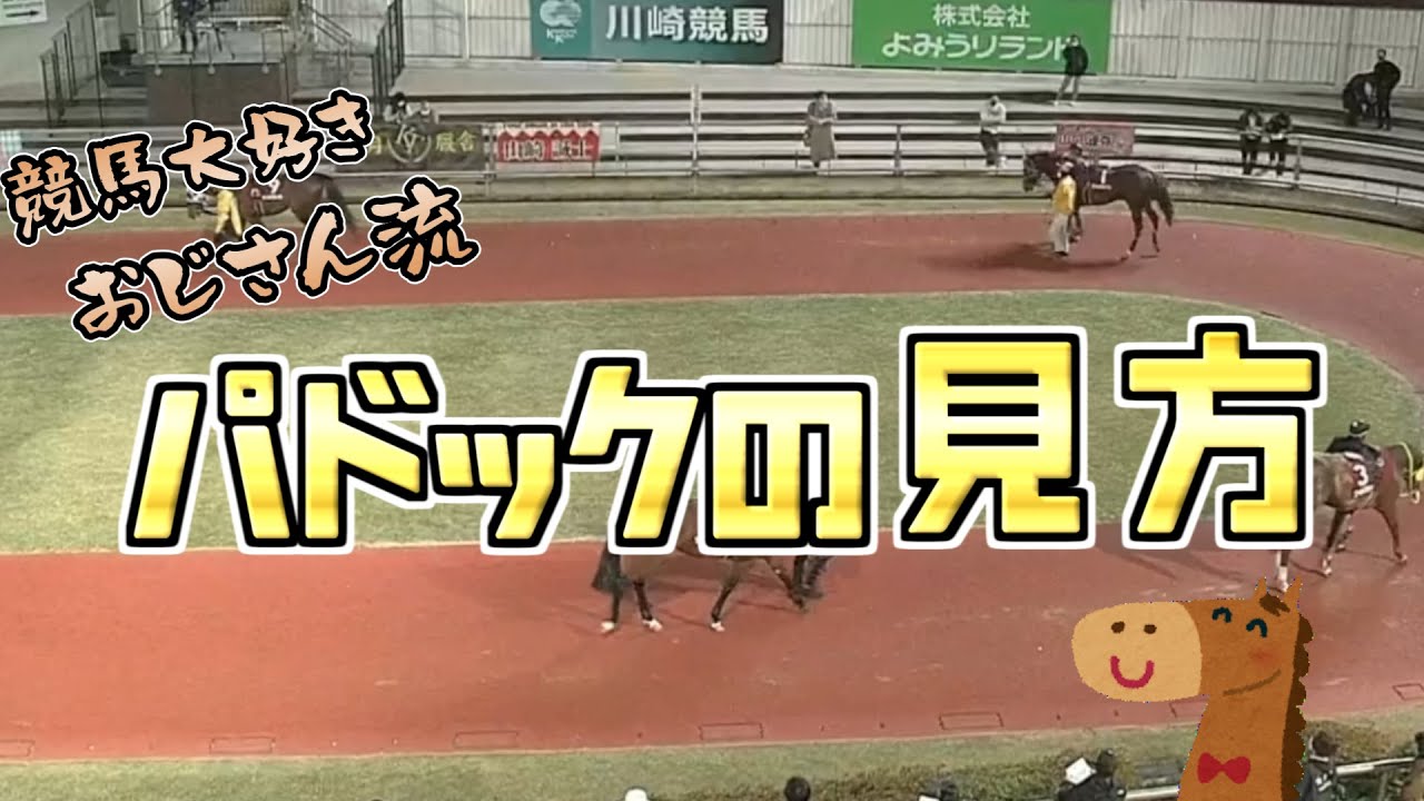 競馬大好きおじさん流　パドックの見方！