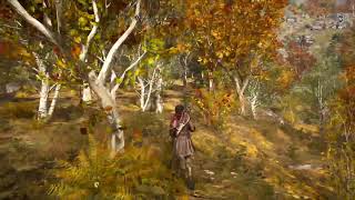 Assassin's Creed Odyssey Gameplay Part 11.