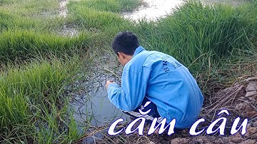 CSRV 98 | CẮM CÂU CÁ LÓC, chào cả nhà, em đã quay trở lại cần câu cơm quen thuộc