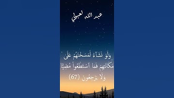 نهاوند ماتع سورة يس #quran  #اكسبلور #لايك