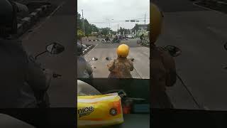 Para Gadis Cantik Berhijab Siap Gas Balapan Liar