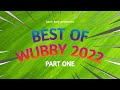 Best Of Wubby 2022 Part One