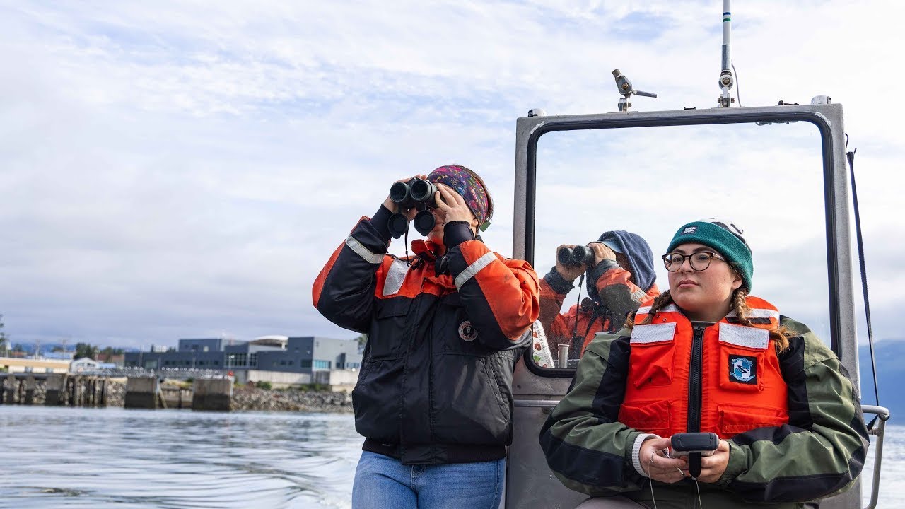 Part 1: Resurrection Bay Seabird Surveys | On the Water with ASLC Seabird Researchers!