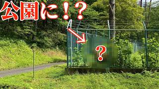 公園で昆虫採集してたらまさかの動物が！？
