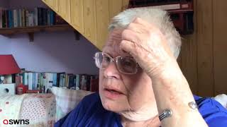 Woman saved by real-life Lassie