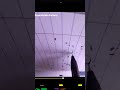 animation