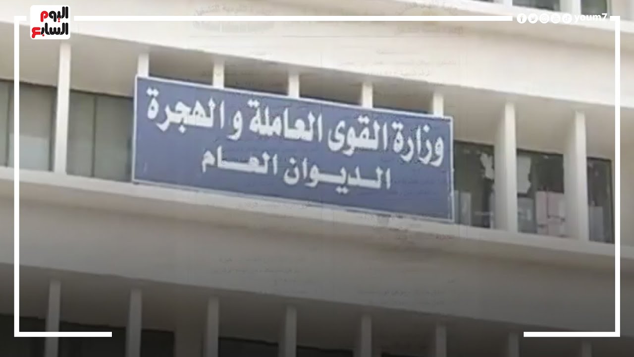 فرص عمل بالمحافظات لذوى الهمم .. الرواتب تصل لـ10 آلاف جنيه