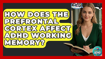 How Does The Prefrontal Cortex Affect ADHD Working Memory? - Managing Your ADHD