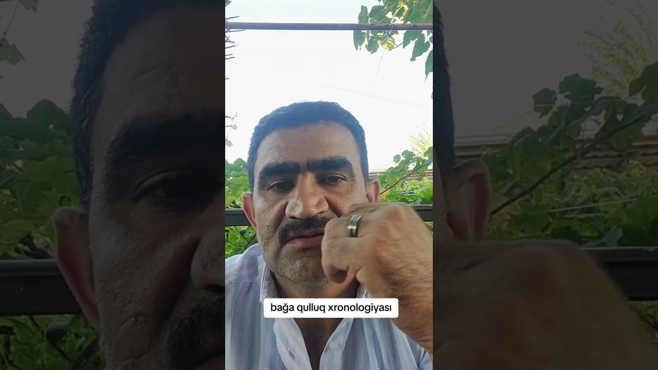 Bağa ümumi qulluq xronologiyasi