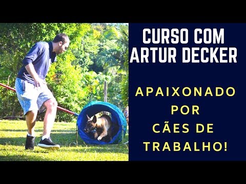 CURSO ADESTRAMENTO COM ARTUR DECKER -APAIXONADO POR CÃES TRABALHO!