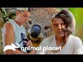 Top 5 de animais mais carinhosos e divertidos | Wild Frank | Animal Planet Brasil