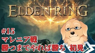 【エルデンリング #15】今回マレニアだけの内容になるかもしれない【ケモノVtuber/星戌セン/ #Vtuber #ELDENRING #エルデンリング】