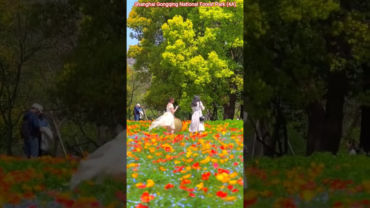 Shanghai Gongqing Forest Park 