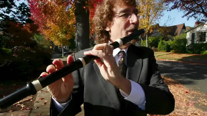 Stephen Schultz: 5 Flutes