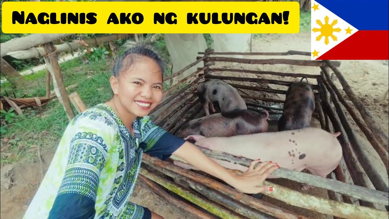 Nagpakain Ako Ng Baboy At Naglinis ng Kulungan / Ang Aming Ulam Itlog Na May Malunggay