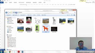 2016 P2 Activity5