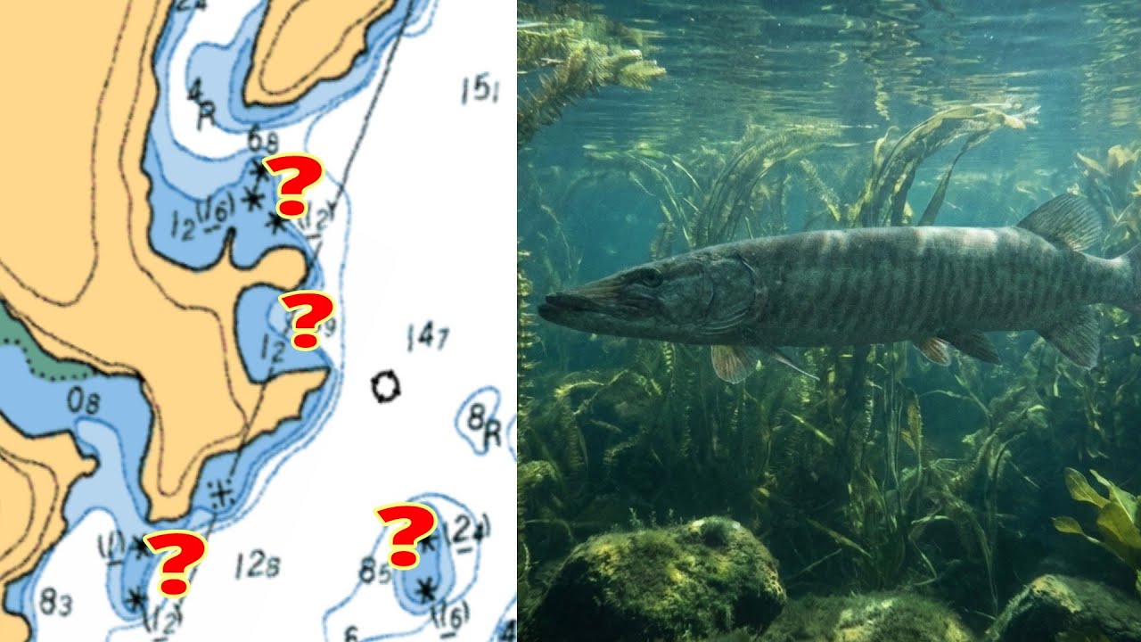 Musky Spots Most Anglers MISS in Northwestern Ontario