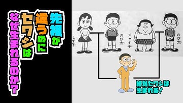Zavantazhiti ドラえもんちゃんねる3剣士 Mp3 Bezkoshtovno Divitis Mp4 Video