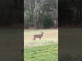 Let em go and watch em grow!
