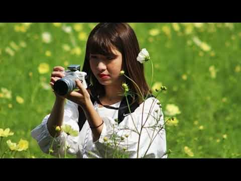 大滝詠一/君は天然色