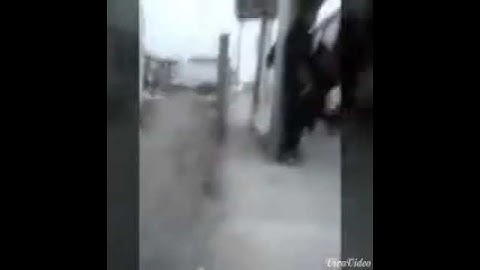 Baja una broma al vive bus