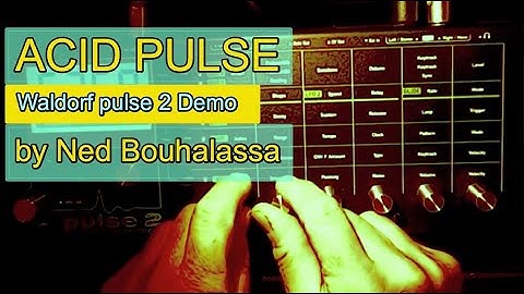 WALDORF PULSE 2 Acid Pulse | Synthesizer Demo by Ned Bouhalassa