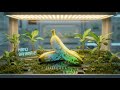 Google's Nano Banana 2: A Leap Forward in AI Image Generation