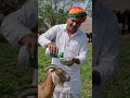 Veterinary Liver Tonic for Cattle, Goat &amp; Poultry | Improves Liver Function, Digestion &amp; Appetite.